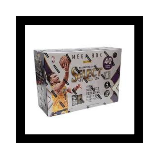 2024/25 Panini Select Basketball Hobby Mega 20 Box Case